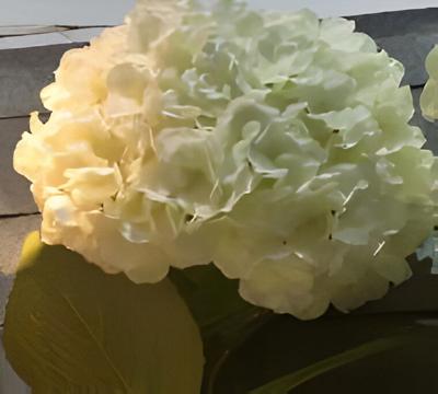 Kunst hortensia tak wit 92 cm - Buitengewoon de boet