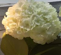 Kunst hortensia tak wit 92 cm - Buitengewoon de boet