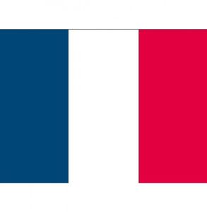 Stickertjes van vlag van Frankrijk   -