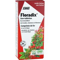 Floradix IJzer-tabletten
