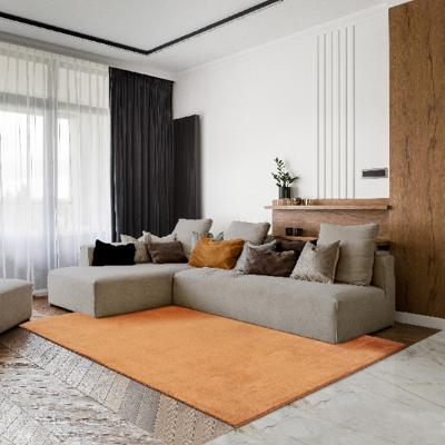 Karpet24 Loft modern pluizig laagpolig tapijt, antislip onderkant, wasbaar tot 30 graden, heerlijk zacht, bontlook, terra-120 x 160 cm