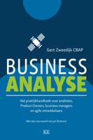 Business analyse (Paperback)