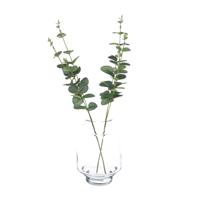 Bellatio Design Kunstplant takken Eucalyptus Cinera - 2x - 38 cm - 3 takken - kunst bladgroen