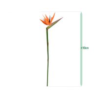 Strelitzia tak Deluxe 90cm Oranje