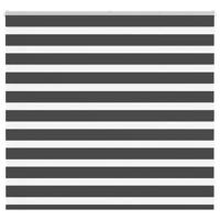VidaXL Zebra rolgordijn 165x100 cm stofbreedte 160,9 cm zwart