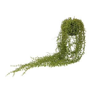 Groene Senecio/erwtenplant kunstplant 70 cm in hangende pot   -