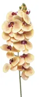 Emerald kunsttak phalaenopsis 100cm geel, fuchsia