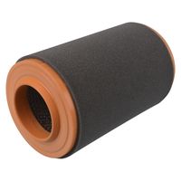 Luchtfilter 170201