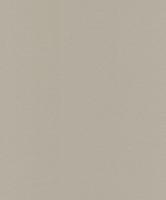 Dutch Wallcoverings Asperia - Uni - Goudbeige
