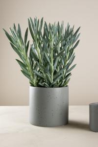 Nohr Plantenpot Velinda 17cm hoog - Grijs/Zwart