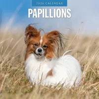 Papillon Kalender 2026