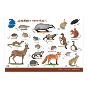 Kijkkaart Zoogdieren