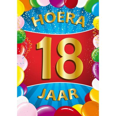 18 jaar verjaardag versiering poster - 59 x 84 cm - leeftijd feestartikelen