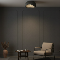 Lyora Natuurlijke plafondlampAere grijs 40cm - 9002677