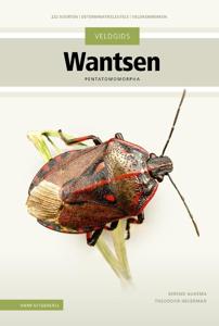 Veldgids Wantsen (Hardback)