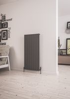 Eastbrook Addington type 10 radiator 120 x 58,8cm 1055 watt antraciet - thumbnail