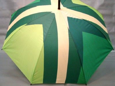 Paraplu Achterhoekse vlag