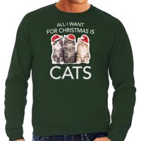 Katten Kitten Kersttrui sweater - All I want for Christmas is cats - groen - voor heren - Kleding