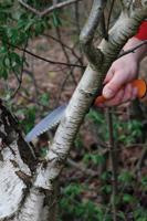 FISKARS handzaag "xtract" hand saw xtract large coarse serration