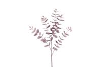 Countryfield eucalyptus cin 106 cm paars