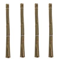 Pro Garden Plantenstokken - 40x - bamboe - H60 cm - plantensteun - bamboestokken/tonkinstokken