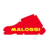 Luchtfilter Malossi Piaggio NRG/TPH