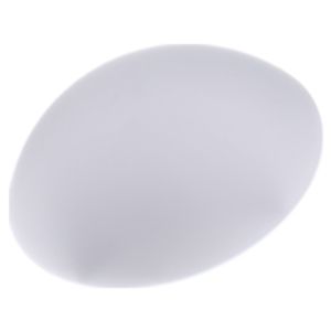 211005.002  - Opal glass lamp opal matt white A60 60W, 211005.002