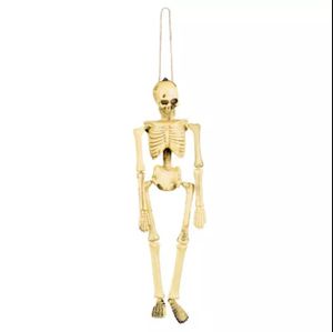 Skelet - 40 cm - Timstor