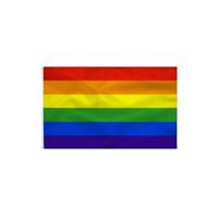 Vlag Divertysex 90 x 60 cm Multicolour