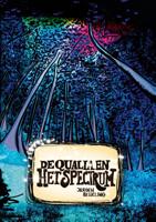 De qualia en het spectrum (Paperback)