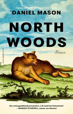 North Woods (Paperback)