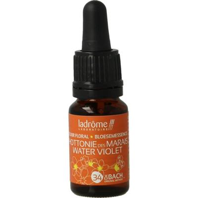 Ladrome Water violet bio