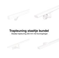 Trapleuning staaltjes bundel wit - per stuk