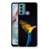 Motorola Moto G60 | TPU Hoesje | Papegaai Motorola Moto G60 | TPU Hoesje | Papegaai