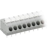 WAGO 804-114 Veerkrachtklemblok 2.50 mm² Aantal polen 14 Grijs, Wit 1 stuk(s) - thumbnail