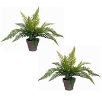 Mica Decorations Kunstplant - 2x stuks - varen - groen - 36 x 40 cm