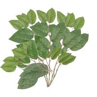 Appelboom groene takken - 5x stuks - kunstplant - 77 cm - maak boeket met bloemen - bladgroen