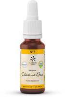Lemonpharma Bach Bach bloesemremedies chestnut bud bio