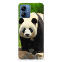 Motorola Moto G14 | TPU Hoesje | Panda