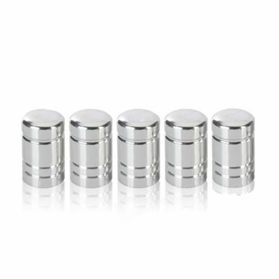 Lifetime Autoventieldop Zilver - 5 stuks Lifetime Autoventieldop Zilver - 5 stuks