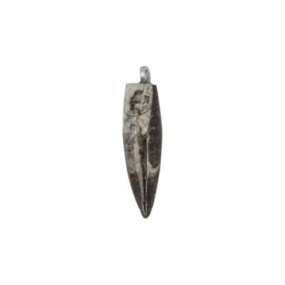 Edelstenen Hanger Orthoceras
