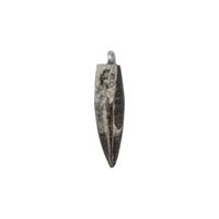 Edelstenen Hanger Orthoceras