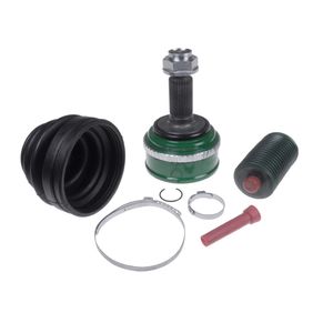 Homokineetset ADH28975