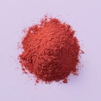 Gevriesdroogd aardbei poeder 100 gram