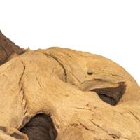 Mopani wood 20kg large Aquadistri - Aquadistri