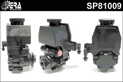 Stuurpomp SP81009