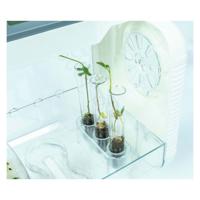 Clementoni Wetenschap plantenkas met temperatuur meter