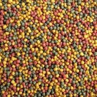 Pond Pro Multi Mix Koi Voer 3 mm - 5kg Complete Voeding voor Groei & Kleur
