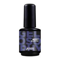 Astonishing Nails Gelosophy #057 Blurple 15ml Astonishing Nails Gelosophy #057 Blurple 15ml