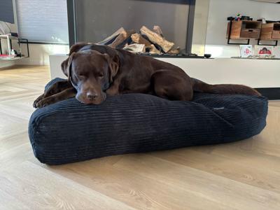 Dog's Companion® Hondenbed black giant ribcord extra small